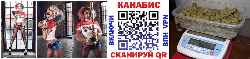 где продают   Весьегонск  Бошки марихуана Bruce Banner 